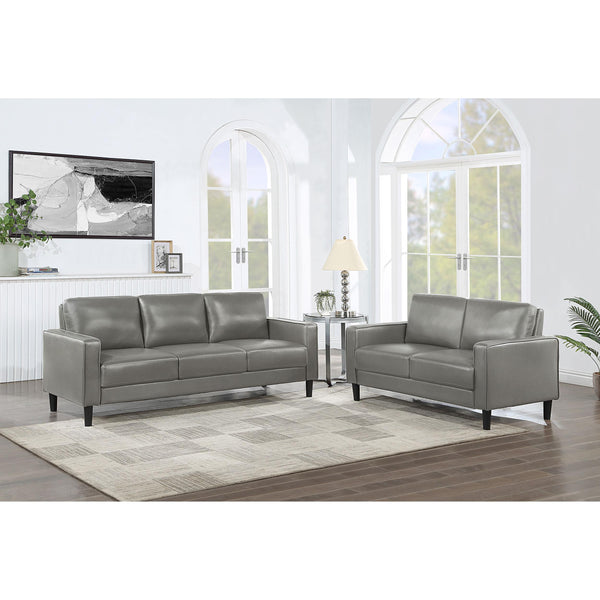 Coaster Furniture Ruth 508365-S2 2 pc Living Room Set