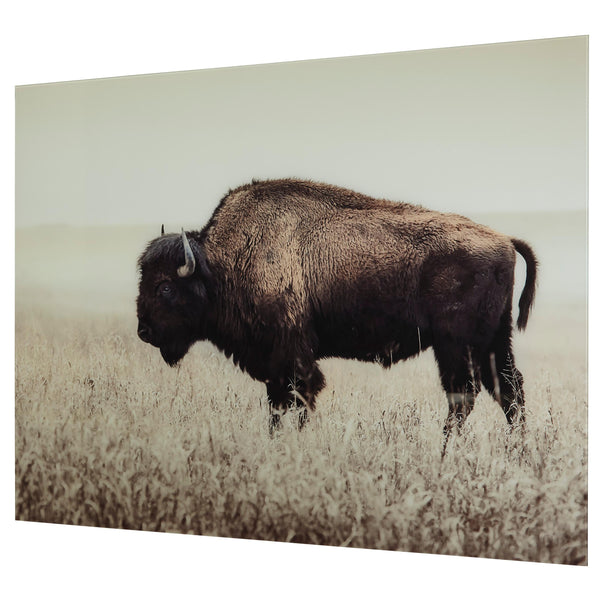 Signature Design by Ashley Brutus A8000289 Wall Art