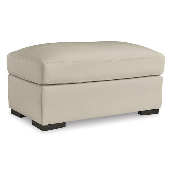Signature Design by Ashley Treasure Trove 1930414 Ottoman