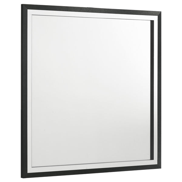 Coaster Furniture Lucia 224994 Dresser Mirror - Black