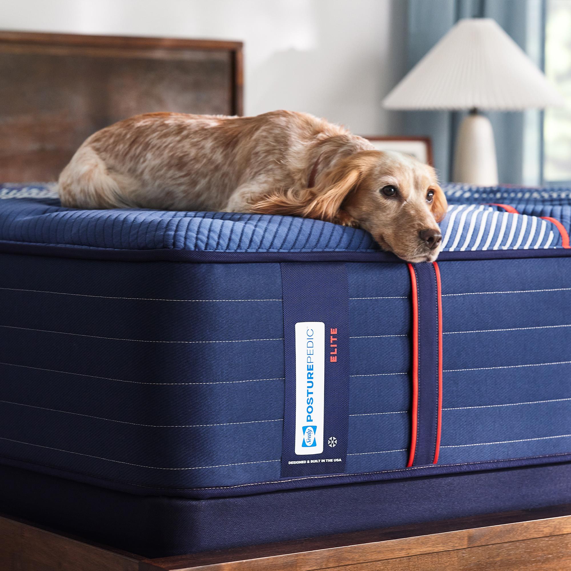  Size_Twin XL --  Sealy Albany II Tight Top Firm Mattress IMAGE 9