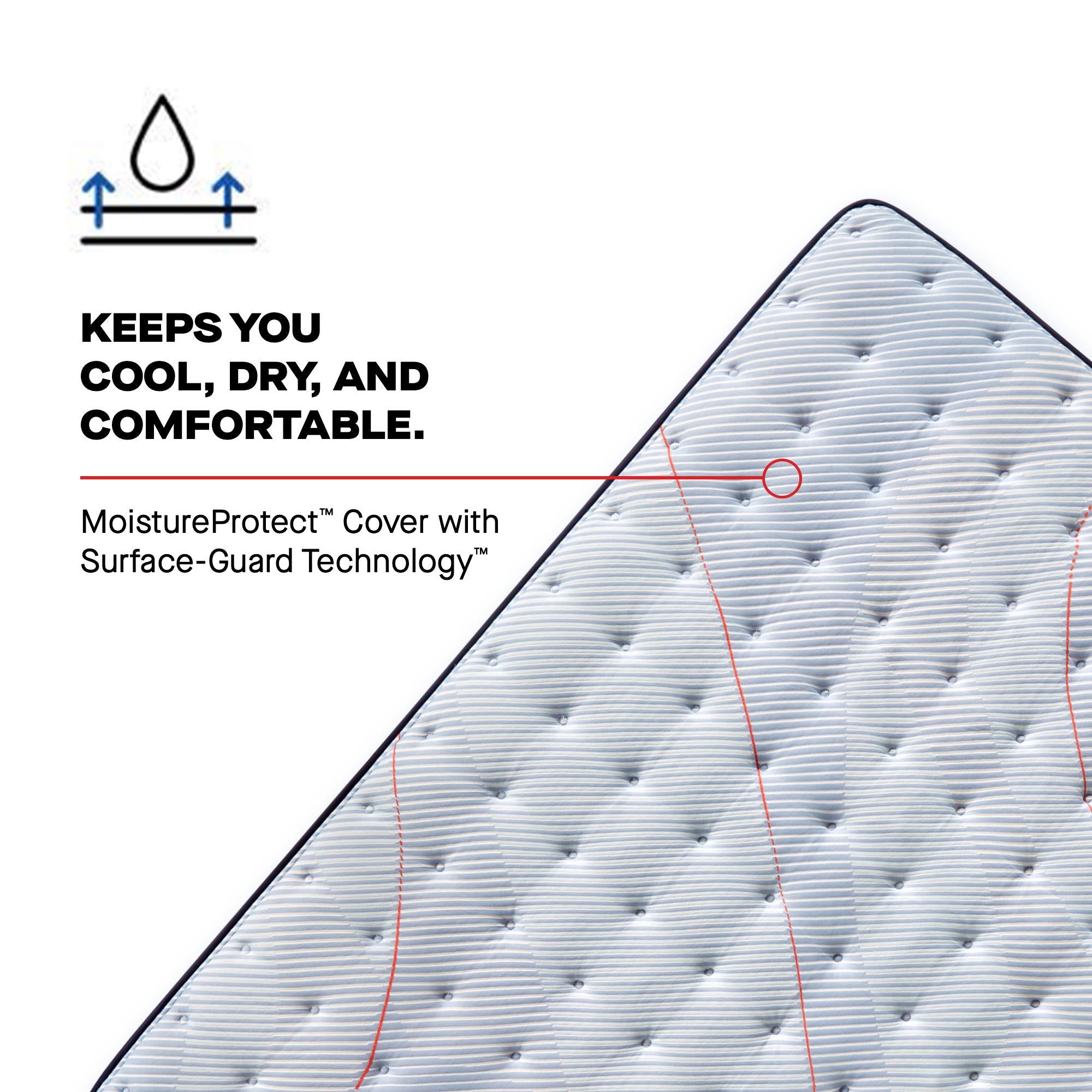  Size_Twin --  Sealy Medina II Euro Pillow Top Soft Mattress IMAGE 7