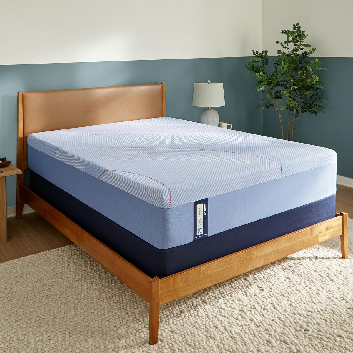  Size_Split California King -- Medina II Medium Mattress (Split California King) IMAGE 1