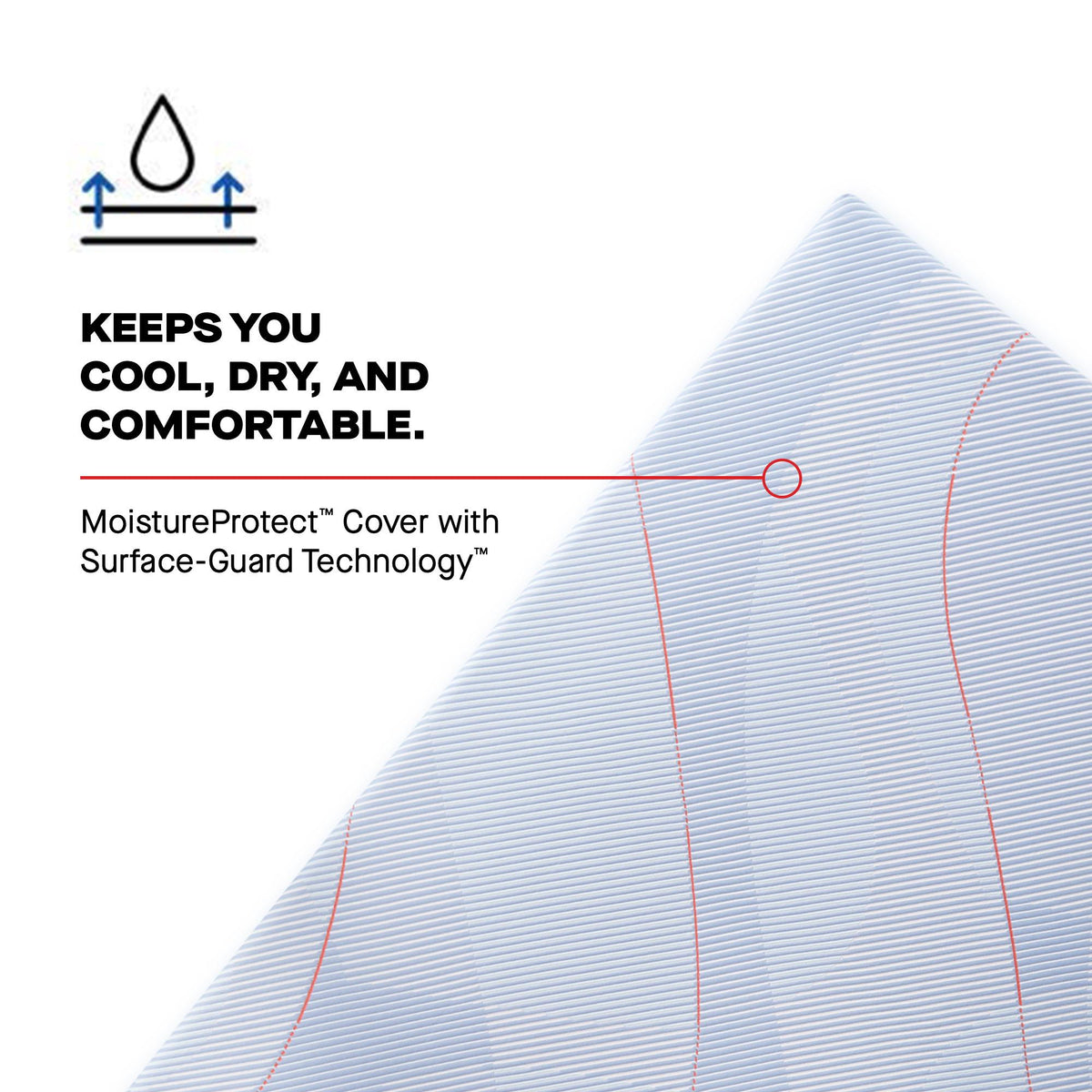  Size_Split California King -- Medina II Medium Mattress (Split California King) IMAGE 7