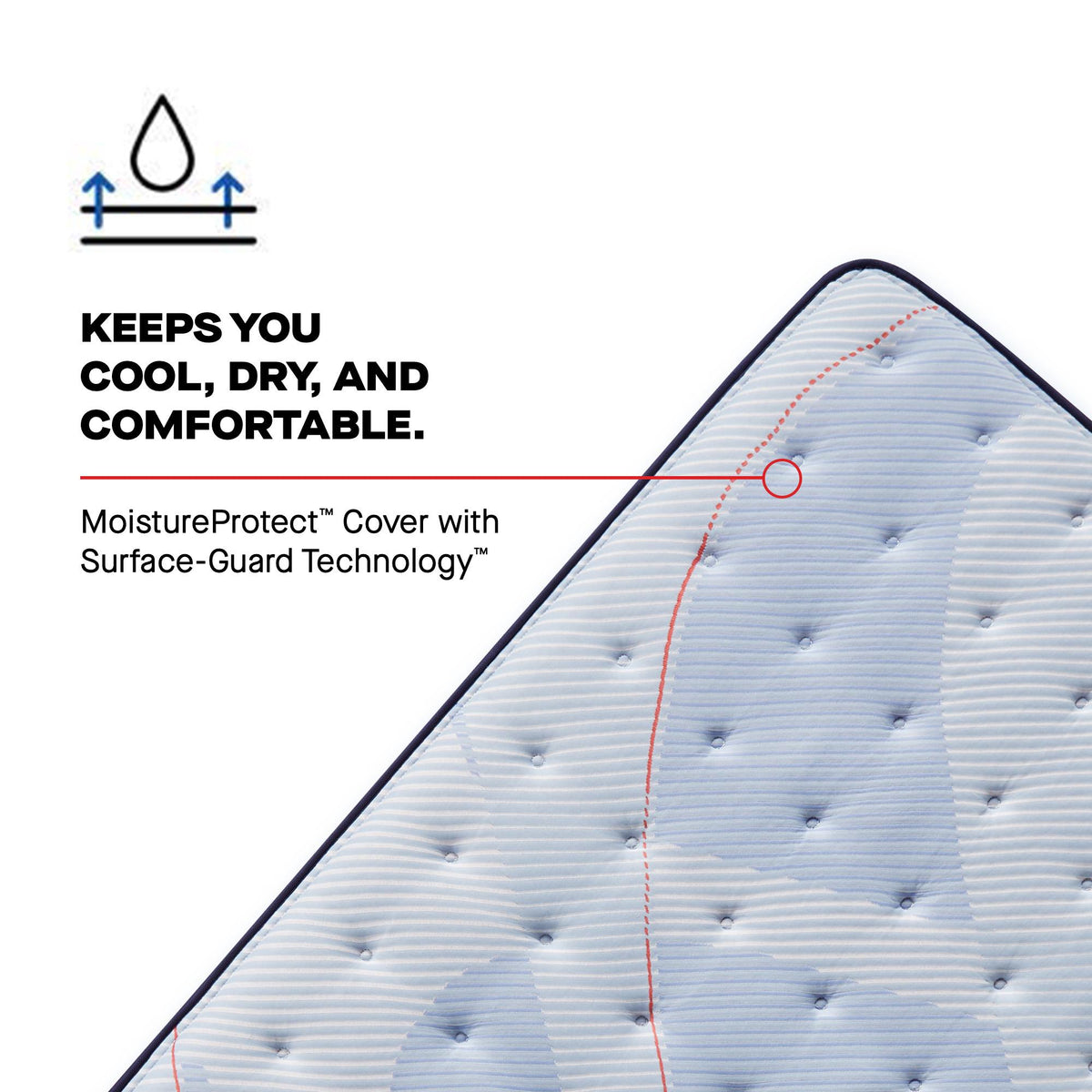  Size_Split California King -- Paterson II Tight Top Medium Mattress (Split California King) IMAGE 7