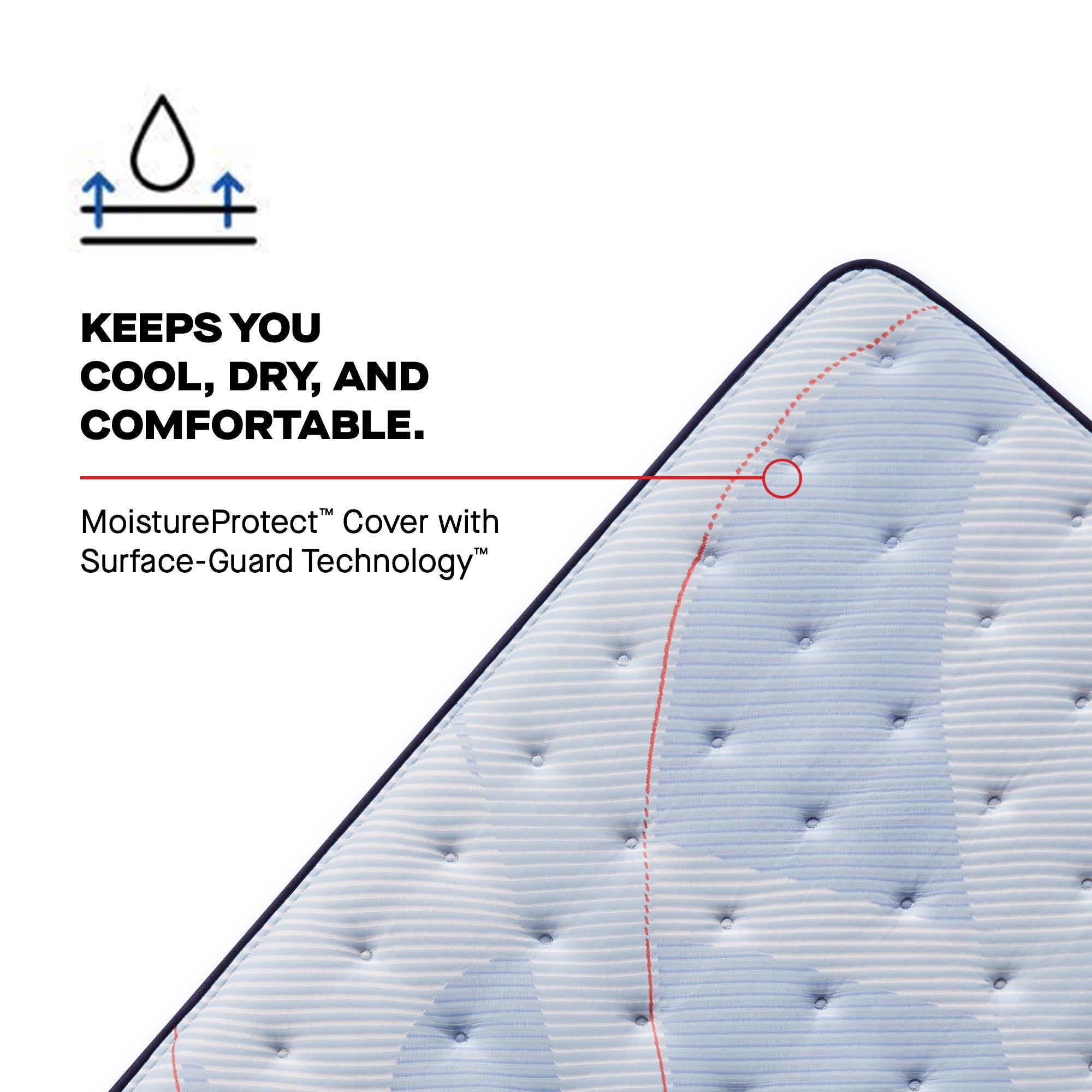  Sealy Patterson II Euro Pillow Top Soft Mattress (Twin) IMAGE 7