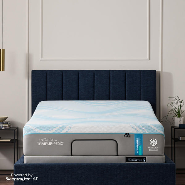 Tempur-Pedic TEMPUR-Ergo® ProSmart® Air Base (Split CalifornIa King)