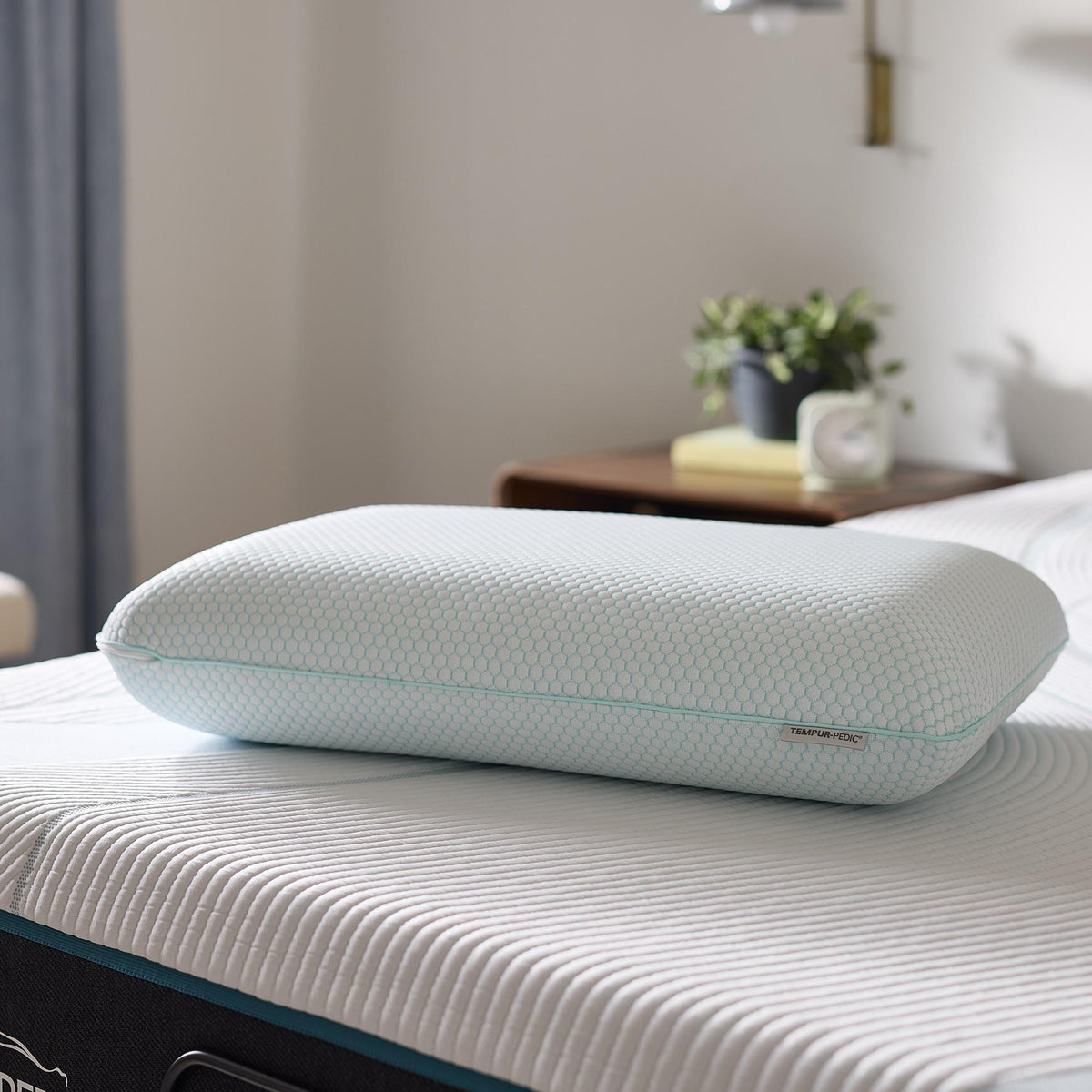 Tempur-Pedic 151781P4 Standard Pillow IMAGE 2