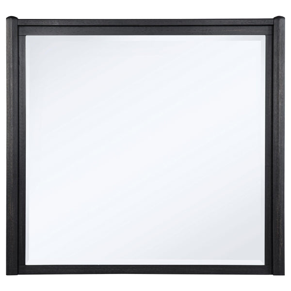 Coaster Furniture Leandro 222494 Dresser Mirror - Burnished Black