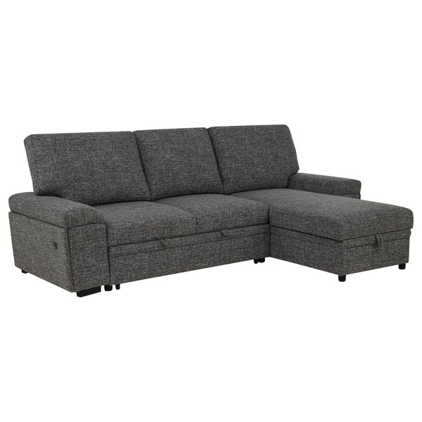 Coaster Furniture Demko 500355 Sleeper Sectional Sofa with Speaker and Storage Chaise - Granite
