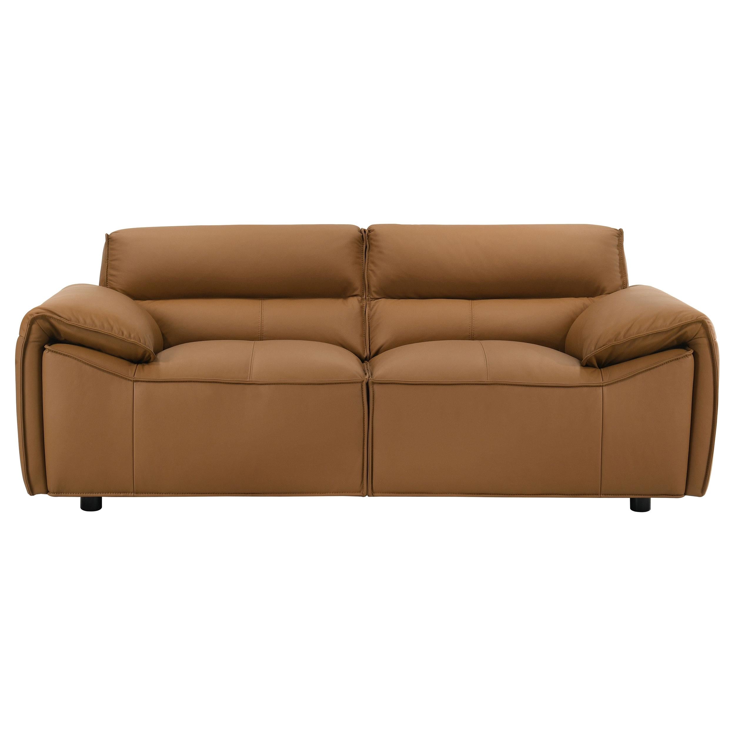  Coaster Furniture Buxton 509502 Top Grain Leather Upholstered Loveseat - Orange IMAGE 8