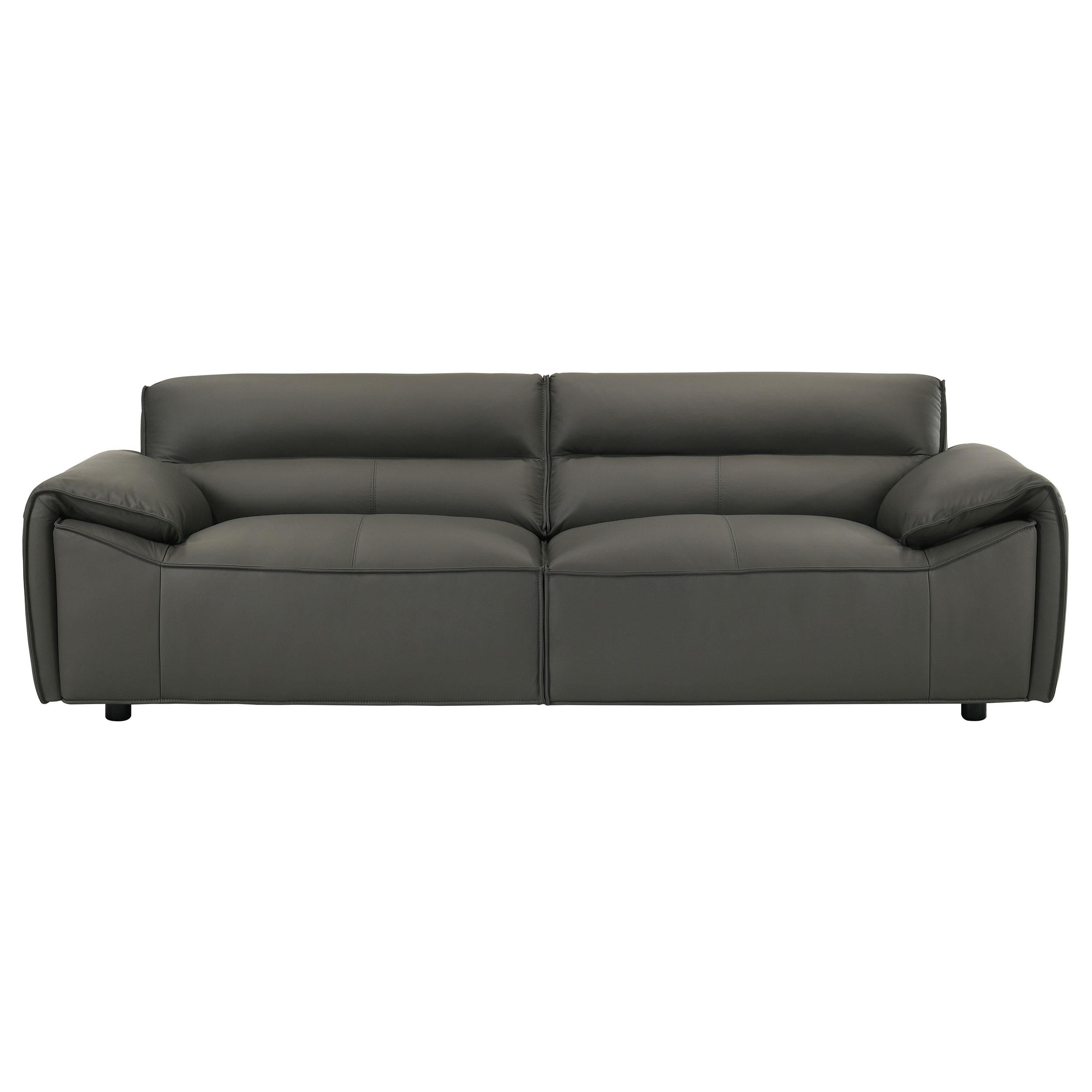  Coaster Furniture Buxton 509504 Top Grain Leather Upholstered Sofa - Graphite IMAGE 7